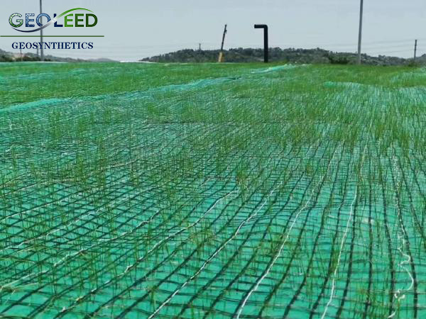 6f3cf273-b059-4869-8f8a-69aa25e3186a