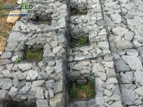 c270af01-76ec-48cf-9b1a-2ee609ac301f